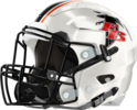 Flowery Branch Falcons Helmet