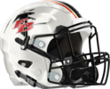 Flowery Branch Falcons Helmet