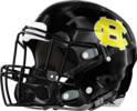 Harris County Tigers Helmet 