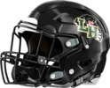 Hughes Panthers Helmet