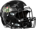 Hughes Panthers Helmet
