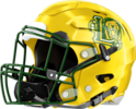 Lithia Springs Lions Helmet Left