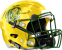 Lithia Springs Lions Helmet Right