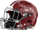 Lowndes Vikings Helmet