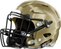 St. Pius X Golden Lions Helmet