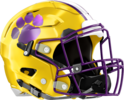 Villa Rica Wildcats Helmet