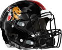 Baldwin Braves Helmet