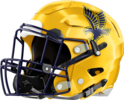 Eagle's Landing Golden Eagles Helmet