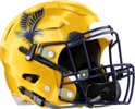 Eagle's Landing Golden Eagles Helmet