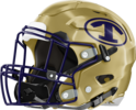 Taylor County Vikings Helmet