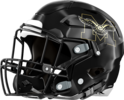 McDonough Warhawks Helmet