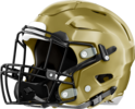 Fayette County Tigers Helmet