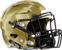 Fayette County Tigers Helmet