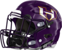 Hampton Hornets Helmet