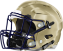Hapeville Hornets Helmet