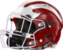 Hillgrove Hawks Helmet