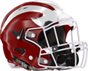 Hillgrove Hawks Helmet