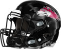 Howard Huskies Helmet