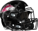 Howard Huskies Helmet