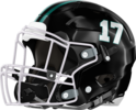 Islands Sharks Helmet