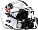 Jackson County Panthers Helmet