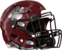 Lakeside, Evans Panthers Helmet