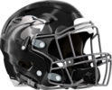 Locust Grove Wildcats Helmet