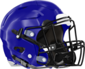 North Clayton Eagles Helmet