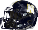 Newnan Cougars Helmet