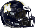 Newnan Cougars Helmet