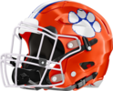 Parkview Panthers Helmet