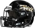 Richmond Hill Wildcats Helmet