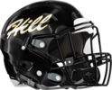 Richmond Hill Wildcats Helmet