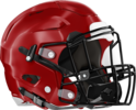 Rockdale County Bulldogs Helmet