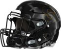 Sprayberry Yellow Jackets Helmet