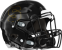 Sprayberry Yellow Jackets Helmet