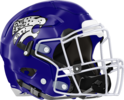 Stephenson Jaguars Helmet