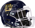 Southwest DeKalb Panthers Helmet