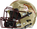 Tucker Tigers Helmet