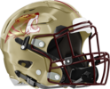 Tucker Tigers Helmet