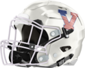 Veterans Warhawks Helmet