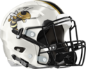 Wayne County Yellow Jackets Helmet