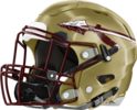 Westside, Macon Seminoles Helmet