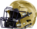 West Forsyth Wolverines Helmet