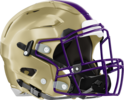 Richmond Academy Musketeers Helmet