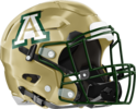 Adairsville Tigers Helmet