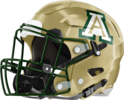 Adairsville Tigers Helmet