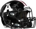 Alexander Cougars Helmet