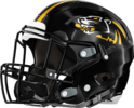 Chattahoochee County Panthers Helmet