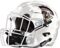 Dougherty Trojans Helmet